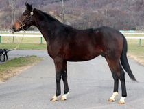 ����å��ǳ��������ɽ�����ޤ�