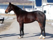 ����å��ǳ��������ɽ�����ޤ�