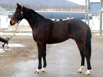 ����å��ǳ��������ɽ�����ޤ�