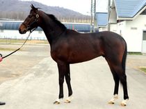 ����å��ǳ��������ɽ�����ޤ�