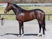 ����å��ǳ��������ɽ�����ޤ�