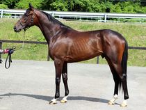 ����å��ǳ��������ɽ�����ޤ�