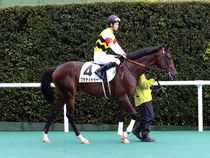 ����å��ǳ��������ɽ�����ޤ�