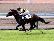 ����å��ǳ��������ɽ�����ޤ�