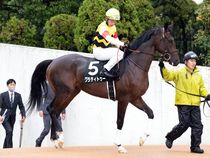 ����å��ǳ��������ɽ�����ޤ�