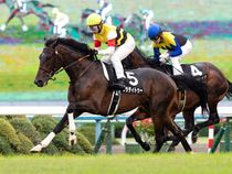 ����å��ǳ��������ɽ�����ޤ�