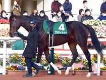 ����å��ǳ��������ɽ�����ޤ�