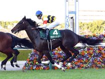 ����å��ǳ��������ɽ�����ޤ�