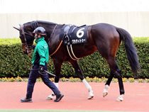 ����å��ǳ��������ɽ�����ޤ�