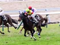 ����å��ǳ��������ɽ�����ޤ�