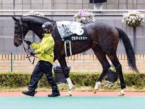 ����å��ǳ��������ɽ�����ޤ�