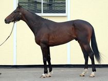 ����å��ǳ��������ɽ�����ޤ�