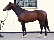 ����å��ǳ��������ɽ�����ޤ�