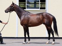 ����å��ǳ��������ɽ�����ޤ�