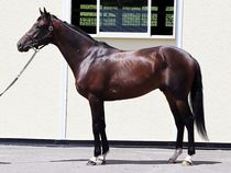 ����å��ǳ��������ɽ�����ޤ�