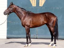 ����å��ǳ��������ɽ�����ޤ�