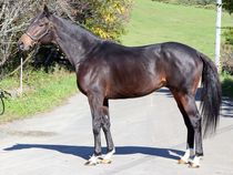 ����å��ǳ��������ɽ�����ޤ�