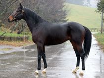 ����å��ǳ��������ɽ�����ޤ�