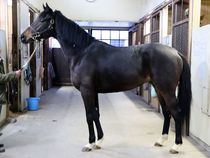 ����å��ǳ��������ɽ�����ޤ�