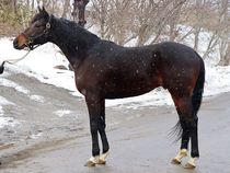 ����å��ǳ��������ɽ�����ޤ�