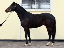 ����å��ǳ��������ɽ�����ޤ�