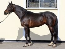 ����å��ǳ��������ɽ�����ޤ�