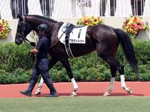 ����å��ǳ��������ɽ�����ޤ�