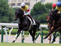 ����å��ǳ��������ɽ�����ޤ�