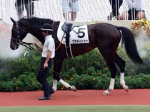 ����å��ǳ��������ɽ�����ޤ�