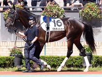 ����å��ǳ��������ɽ�����ޤ�