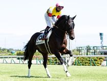 ����å��ǳ��������ɽ�����ޤ�