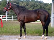 ����å��ǳ��������ɽ�����ޤ�