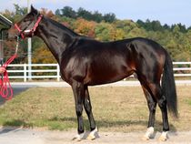 ����å��ǳ��������ɽ�����ޤ�