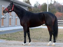 ����å��ǳ��������ɽ�����ޤ�