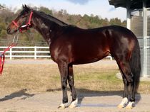 ����å��ǳ��������ɽ�����ޤ�