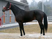 ����å��ǳ��������ɽ�����ޤ�