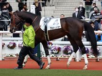 ����å��ǳ��������ɽ�����ޤ�