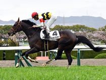 ����å��ǳ��������ɽ�����ޤ�