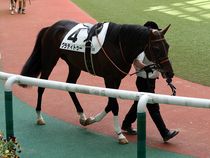 ����å��ǳ��������ɽ�����ޤ�