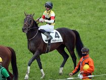 ����å��ǳ��������ɽ�����ޤ�