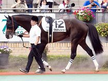 ����å��ǳ��������ɽ�����ޤ�