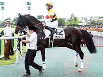 ����å��ǳ��������ɽ�����ޤ�