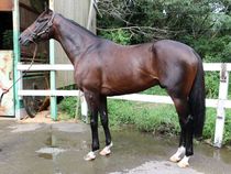 ����å��ǳ��������ɽ�����ޤ�