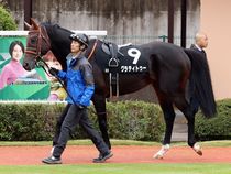 ����å��ǳ��������ɽ�����ޤ�