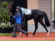 ����å��ǳ��������ɽ�����ޤ�