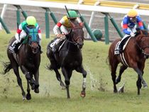 ����å��ǳ��������ɽ�����ޤ�