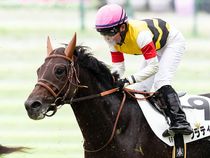 ����å��ǳ��������ɽ�����ޤ�