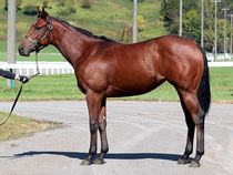 ����å��ǳ��������ɽ�����ޤ�