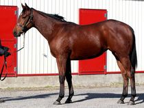 ����å��ǳ��������ɽ�����ޤ�