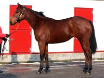 ����å��ǳ��������ɽ�����ޤ�